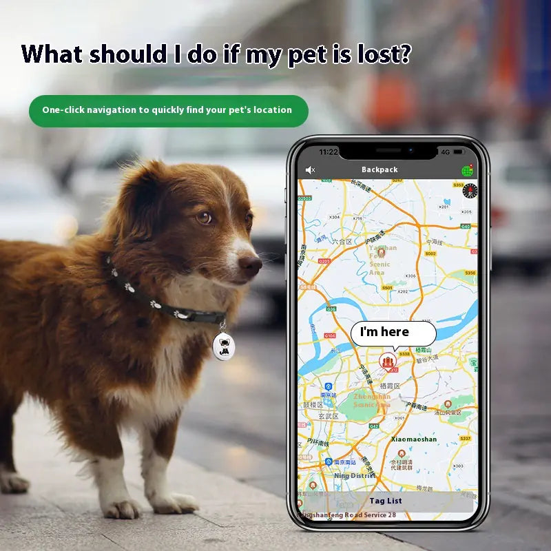 Pet GPS Tracker